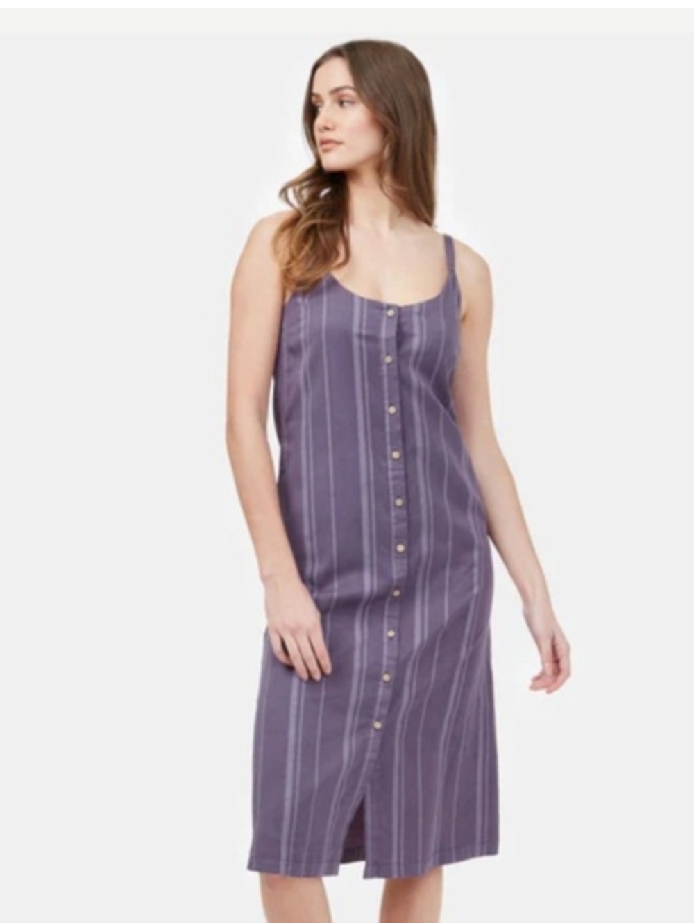 Tentree Sundance Maxi Dress new with tag